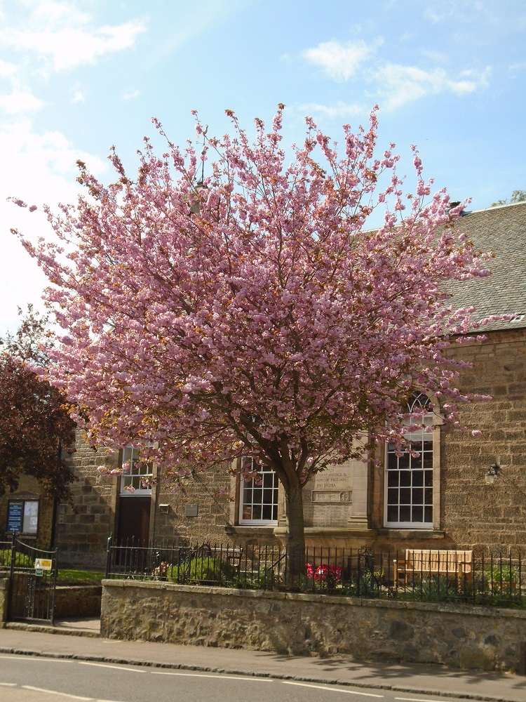 Church Hall